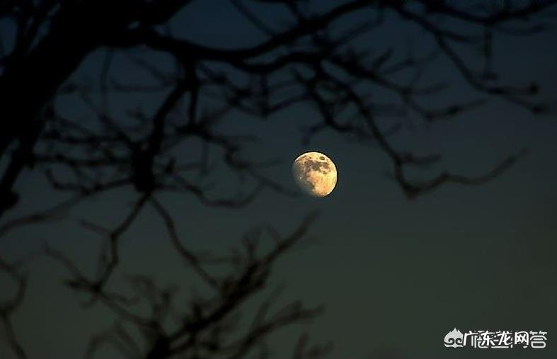 你知道的关于秋天的诗词有哪些?