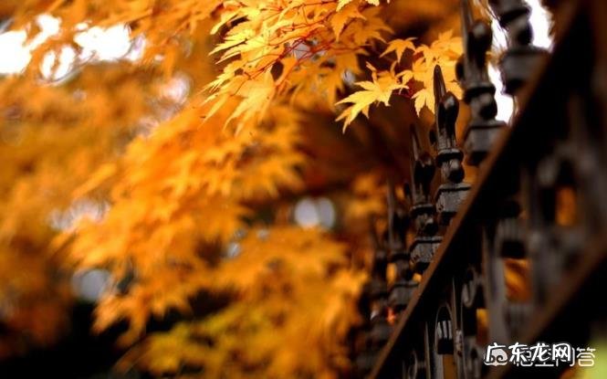 你知道的关于秋天的诗词有哪些?