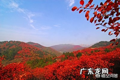 你知道的关于秋天的诗词有哪些?