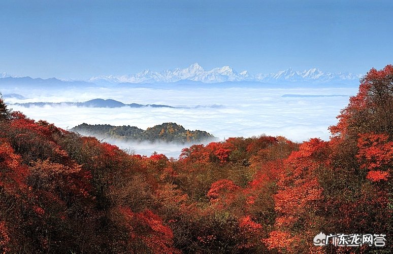 你知道的关于秋天的诗词有哪些?