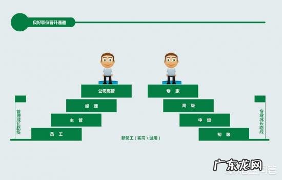 专员到主管、经理、总监再到总经理的晋升期是多久?