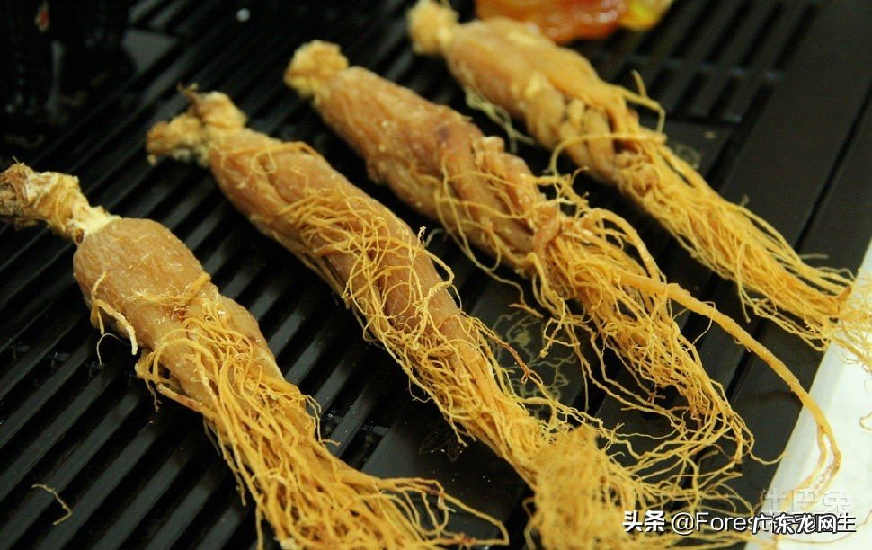 《中草药大全》和《本草纲目》买哪个好些?