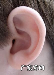 填上合适的量词二年级 填上合适的量词什么的耳朵