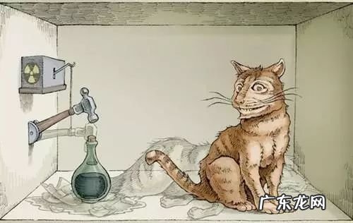 密室逃脱里的毒奶是什么意思 密室毒奶啥意思