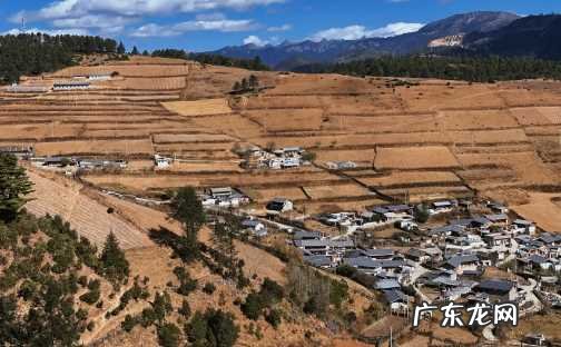 为什么要去香格里拉旅游 香格里拉真的不敢去了为什么呢