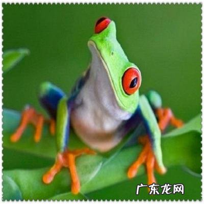 15寸显示屏尺寸是多少，15寸电视长宽多少厘米