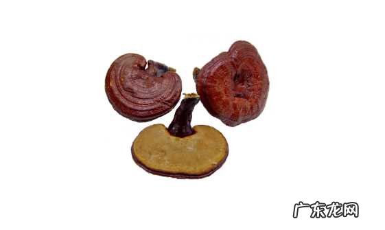 灵芝的吃法及禁忌 灵芝的正确吃法与用量与禁忌表