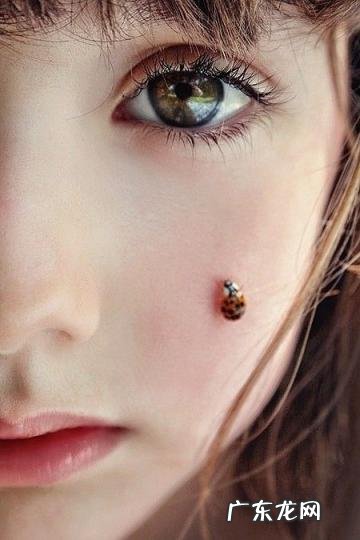 情有独钟的钟是什么意思啊 情有独钟的钟是什么意思是什么