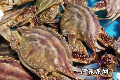 蒸梭子蟹的正确方法 梭子蟹蒸了肚子张开还是卷起来