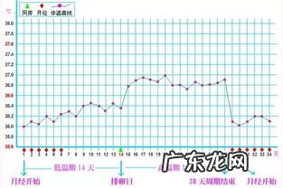 例假周期多少天属于正常 例假的周期怎么算出来的