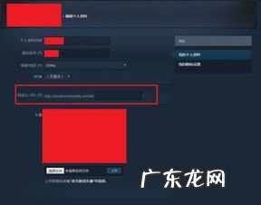然后去steam 打开个人资料 把链接给我 steam个人资料链接包含无效字符什么意思