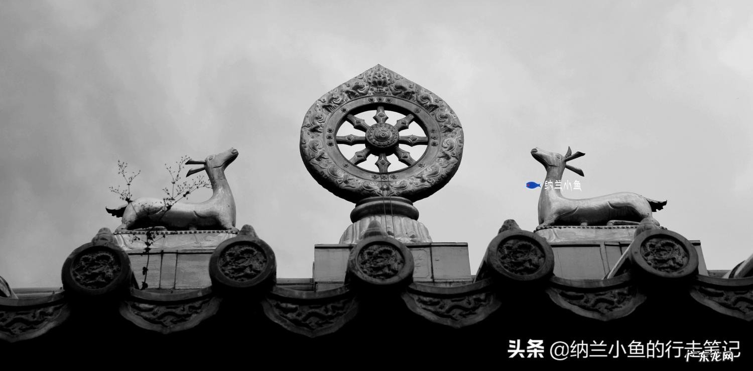 五台山在哪个省哪个市 五台山在哪个省哪个市拼音