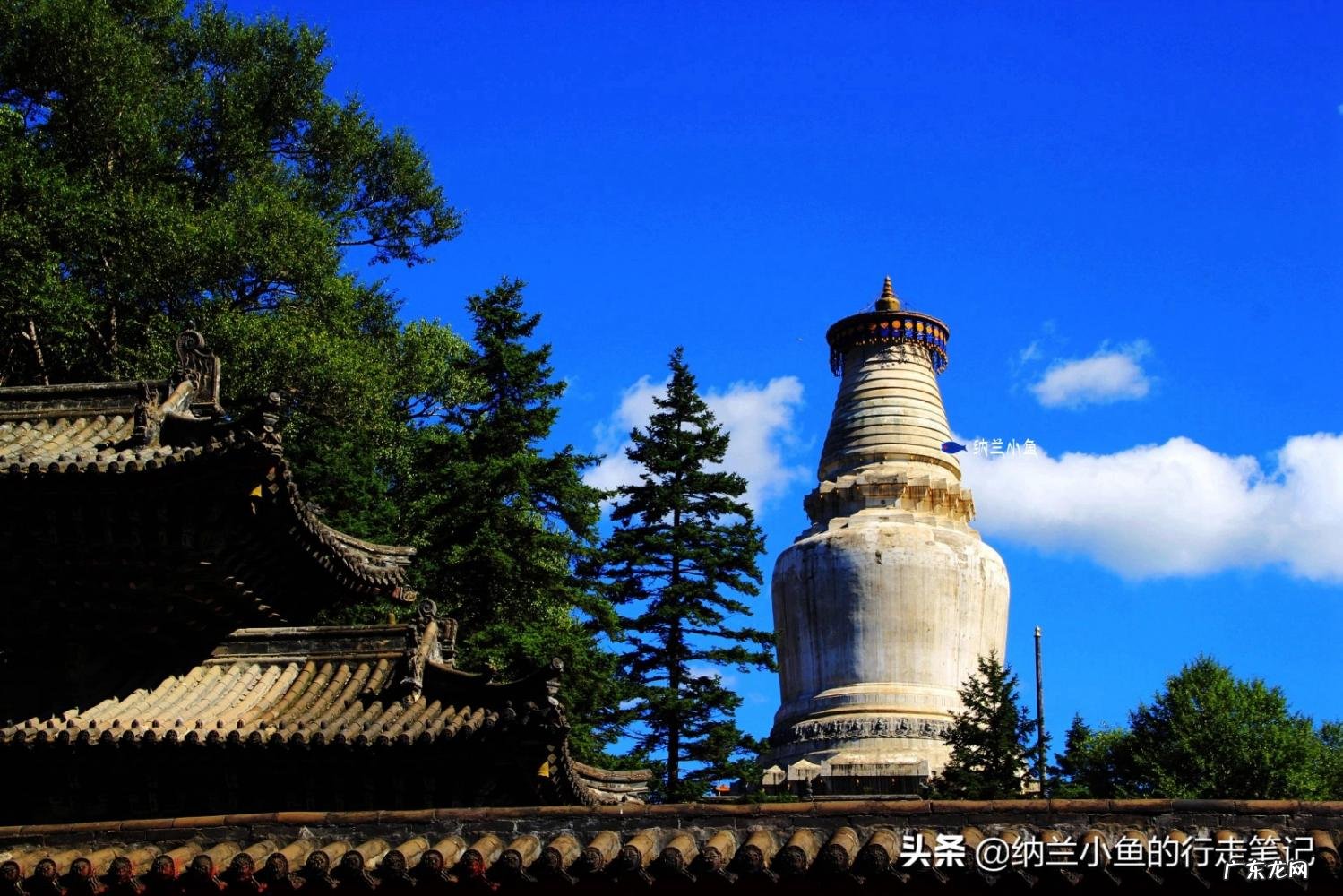 五台山在哪个省哪个市 五台山在哪个省哪个市拼音