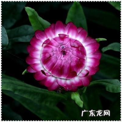 四寸照片多大,4寸是几横指