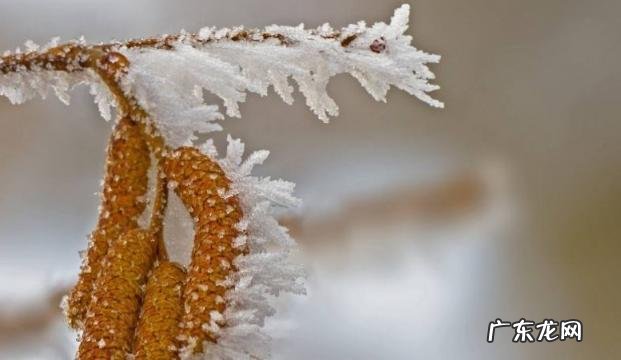 全国冻哭预警地图来了6 全国冻哭预警地图来了0