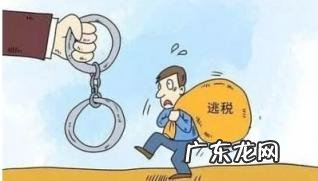 薇娅偷逃税被追缴并处罚款13.41亿元(人民网 薇娅偷逃税被追缴并处罚款13.41亿元)