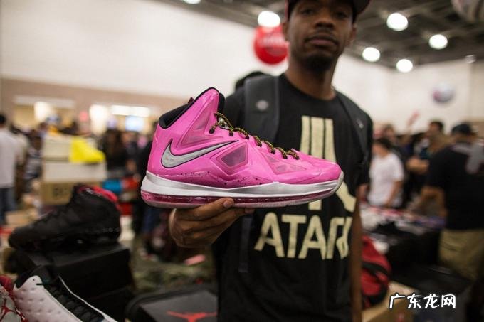 sample是什么意思中文 sample是什么意思?