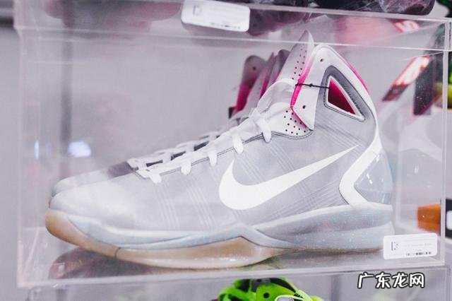 sample是什么意思中文 sample是什么意思?