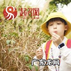 文人墨客是什么意思 芊芊 意思