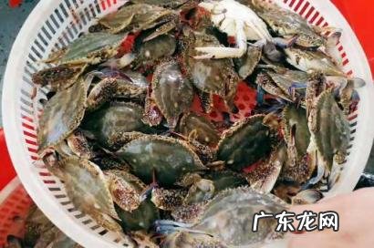 梭子蟹网上卖出去是活的是死的 网上买梭子蟹是活的还是死的好