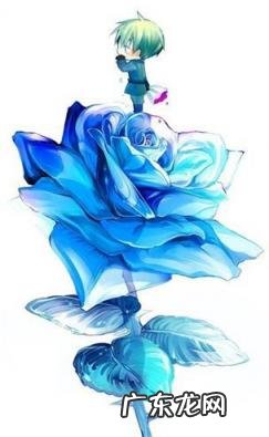 33朵蓝色妖姬代表什么意思 33朵蓝色妖姬代表什么意义