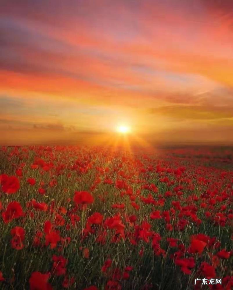 朝朝暮暮,尔尔辞晚,碎碎念安安意思下句是什么 朝朝暮暮前面一句是什么歌