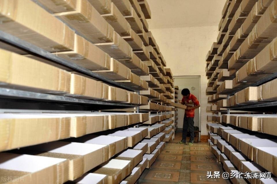 黄粉虫的养殖技术及市场前景 黄粉虫养殖技术与种苗的教学视频