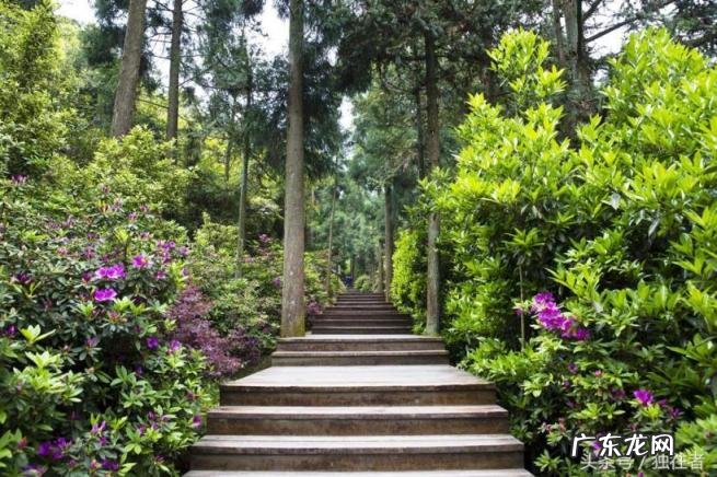 福鼎太姥山在哪里,去太姥山旅游住哪里好!