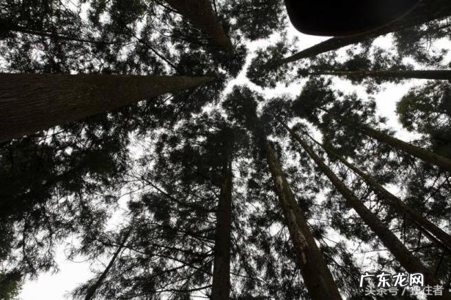 福鼎太姥山在哪里,去太姥山旅游住哪里好!