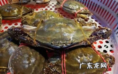 冷冻过的梭子蟹怎么吃 冻梭子蟹怎么分辨坏没坏