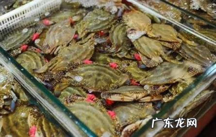冷冻过的梭子蟹怎么吃 冻梭子蟹怎么分辨坏没坏
