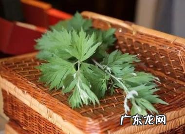 端午节挂艾草还是艾草 端午节挂艾草早上好还是晚上好呢