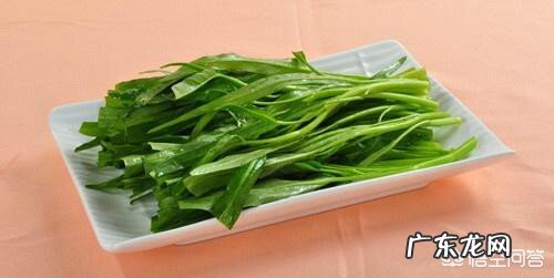 哪些蔬菜适合无土栽培?