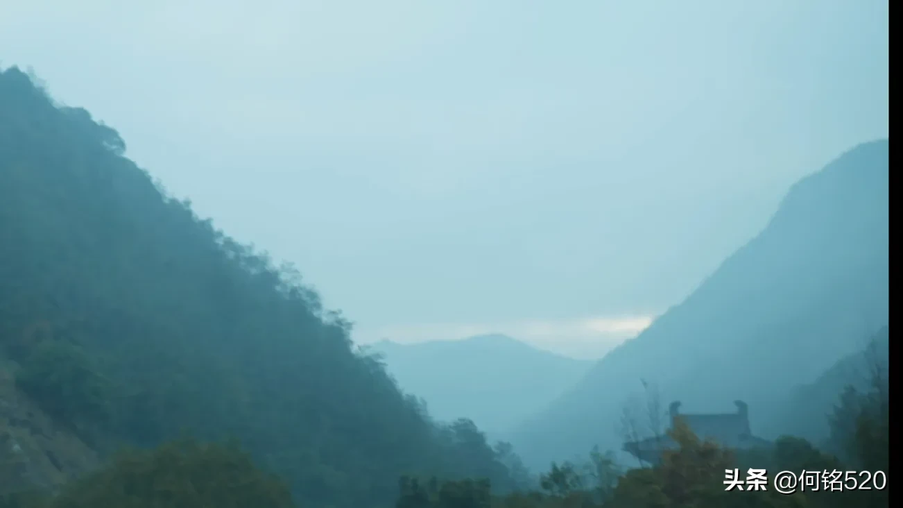 31岁,裸辞,单身,万水千山走遍,仍然一个人在深圳漂着,越来越抑郁越来越孤僻,有什么建议吗?