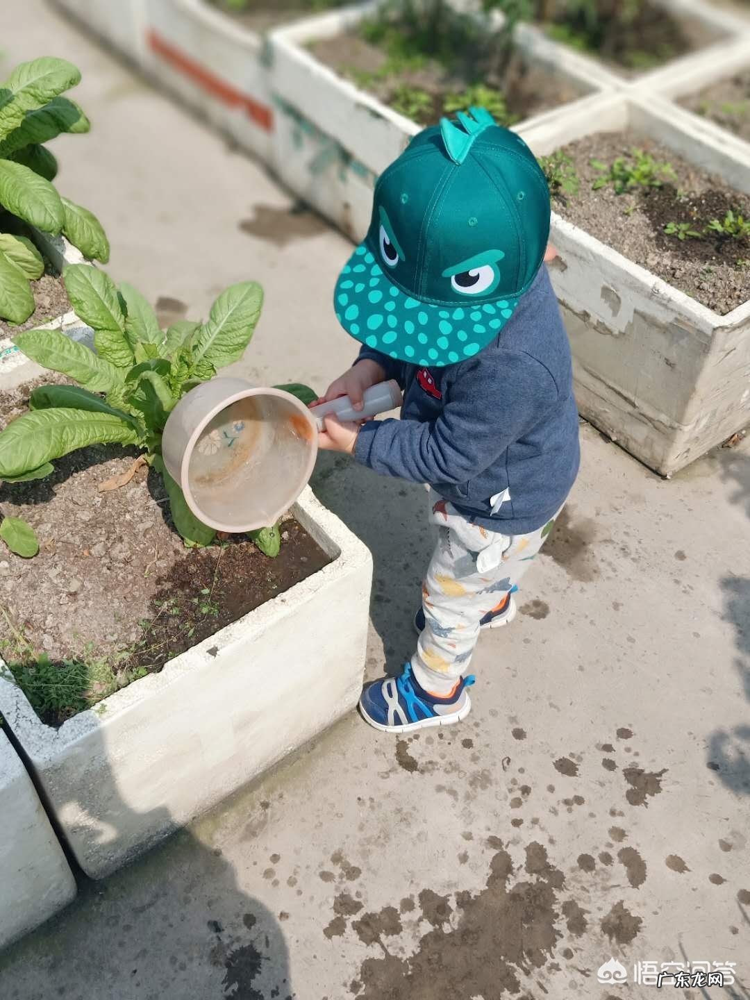 1-2岁宝宝，如何在家进行早教？