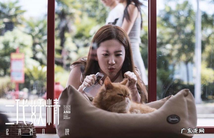 致青春原来你还在这里结局mv 致青春原来你还在这里大结局是什么意思