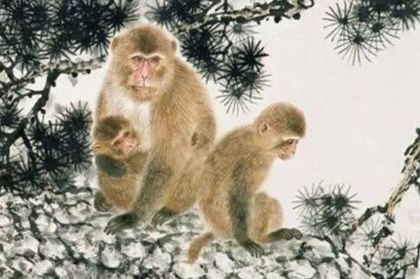 哪些属相的人爱吃独食?-