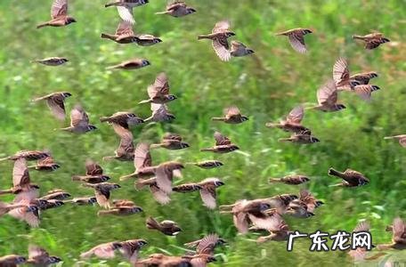 为什么有些人天生读书成绩就很好,而有些人无论多勤奋成绩都上不去?