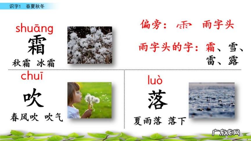 夏的部首是什么怎么读音 夏的部首是什么部首