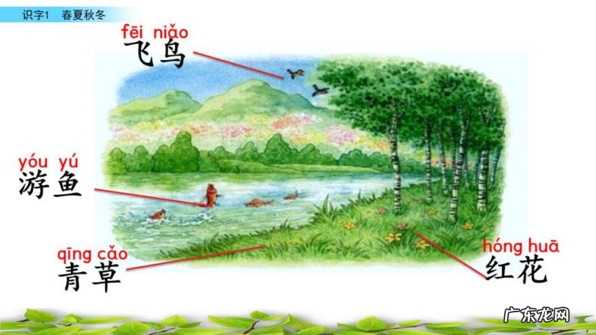 夏的部首是什么怎么读音 夏的部首是什么部首