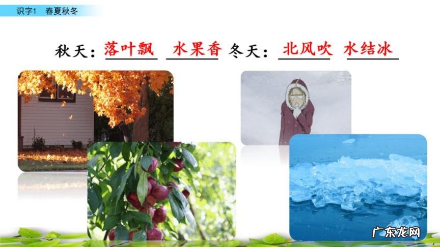 夏的部首是什么怎么读音 夏的部首是什么部首