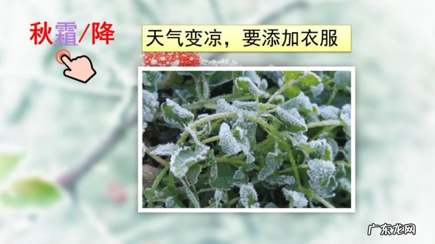 夏的部首是什么怎么读音 夏的部首是什么部首