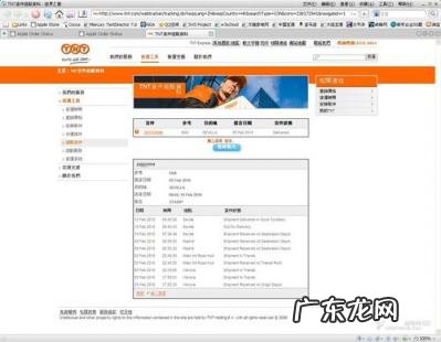 tnt运单跟踪 tnt查询官网