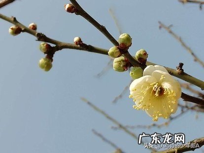 为什么感觉一个人会那么孤单？你怎么看？