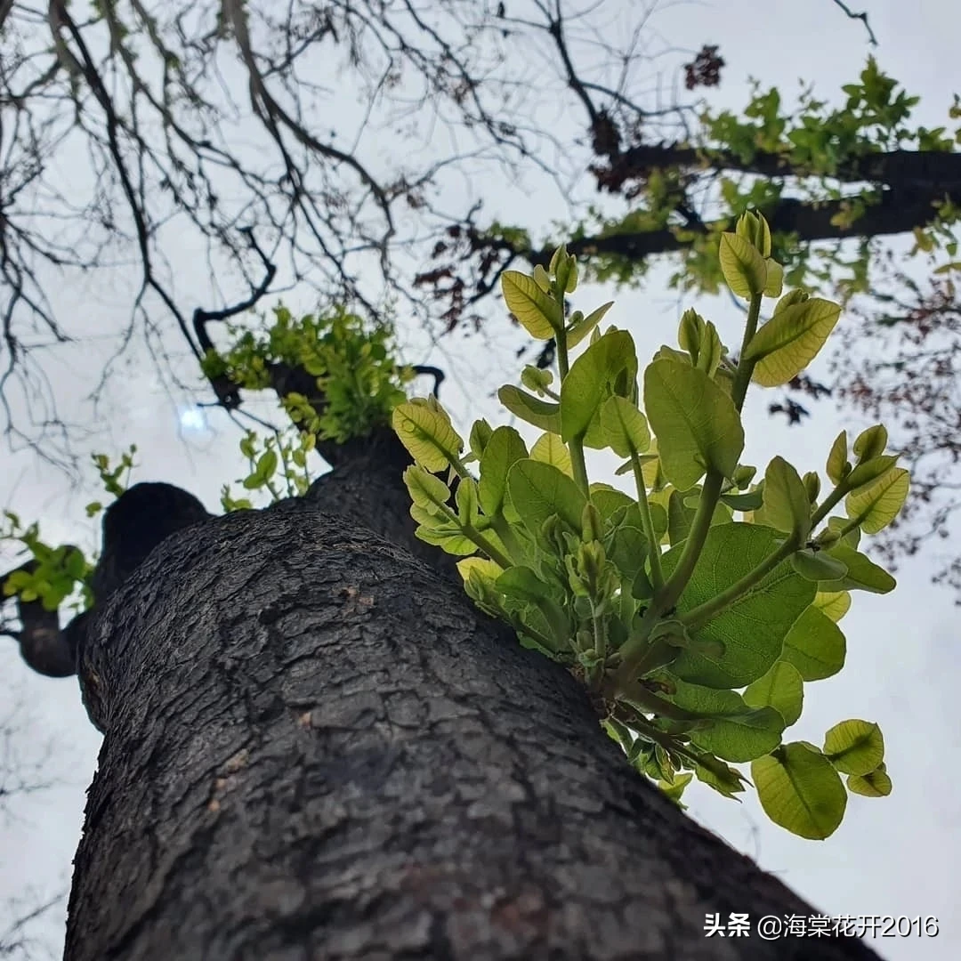 为什么感觉一个人会那么孤单？你怎么看？