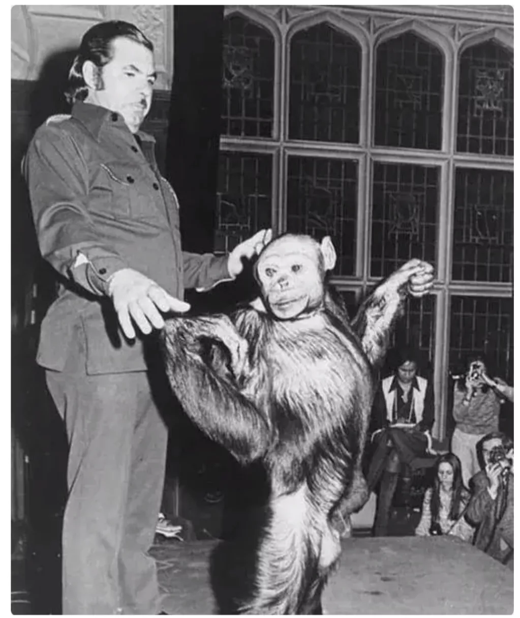 人类给动物杂交到底是好事还是坏事?