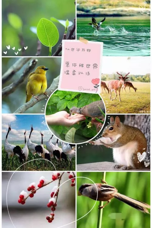 人类给动物杂交到底是好事还是坏事?