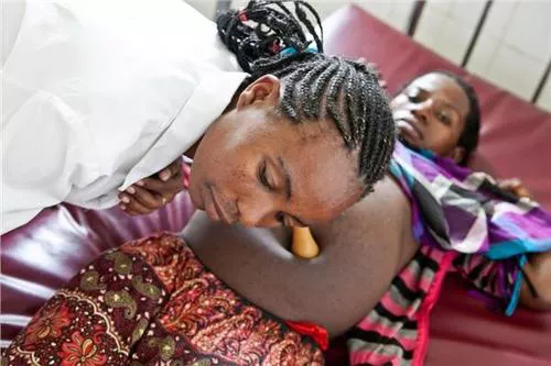 人类给动物杂交到底是好事还是坏事?