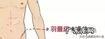 健身人鱼线是哪里 人鱼线在哪个部位女性