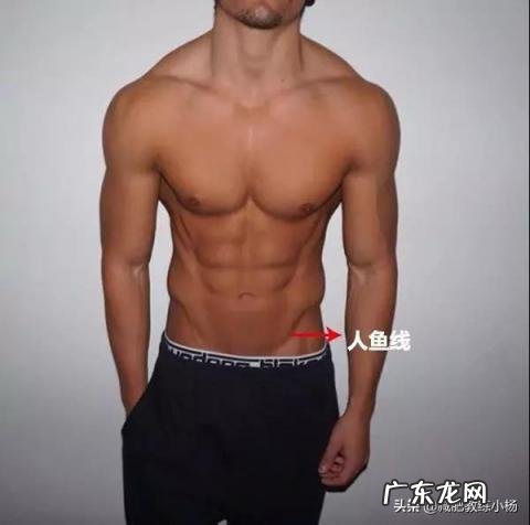 健身人鱼线是哪里 人鱼线在哪个部位女性
